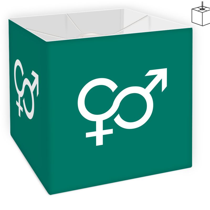 Grön lampskärm med gender fluid symbol på